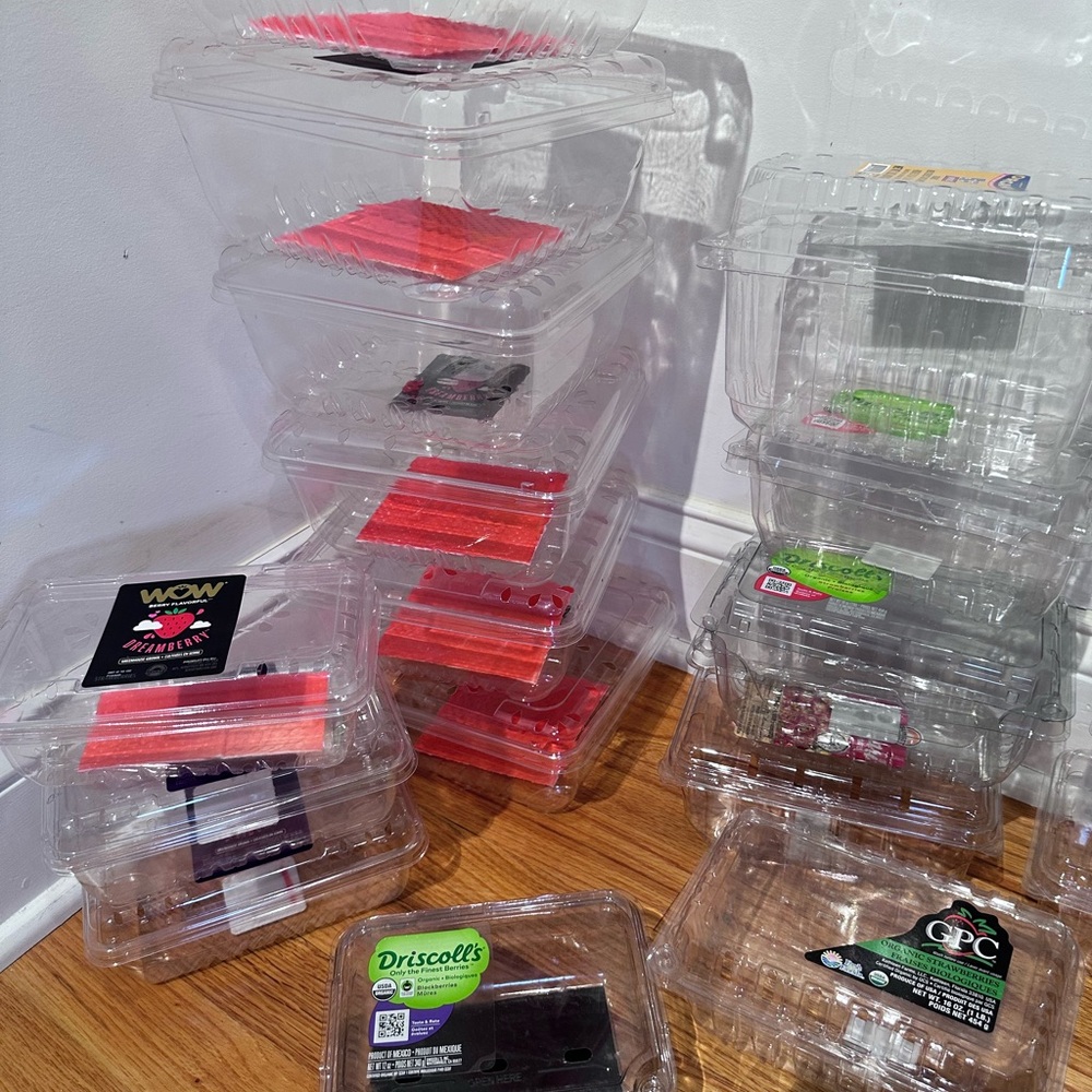 20 Pack Clear Plastic Berry Clamshell Vented Container for blueberry, Cherry ...